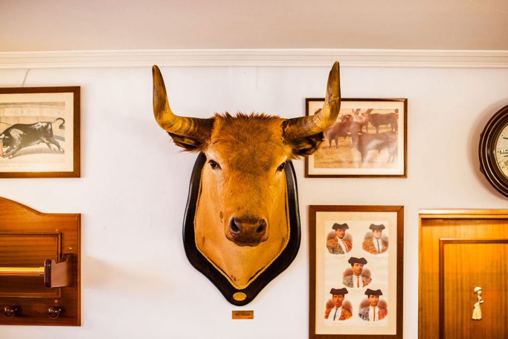 Detalle cabeza de buey restaurante El Buey en la Plaza de la Marina Española de Madrid